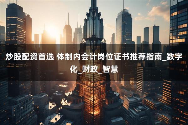 炒股配资首选 体制内会计岗位证书推荐指南_数字化_财政_智慧