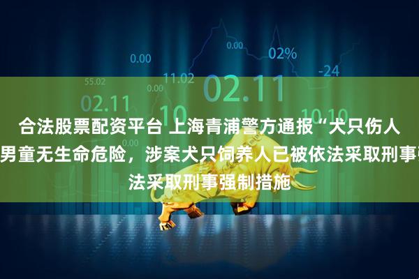 合法股票配资平台 上海青浦警方通报“犬只伤人”：受伤男童无生命危险，涉案犬只饲养人已被依法采取刑事强制措施